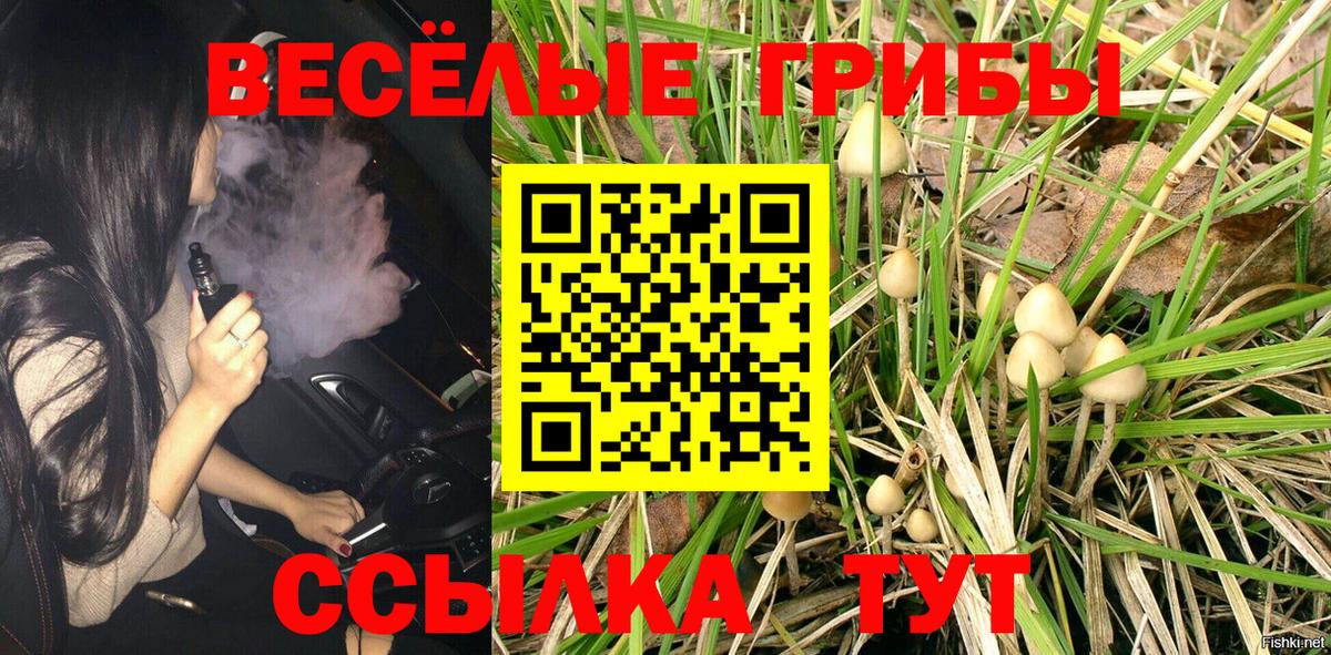 Галлюциногенные грибы Psilocybine cubensis Приморско-Ахтарск