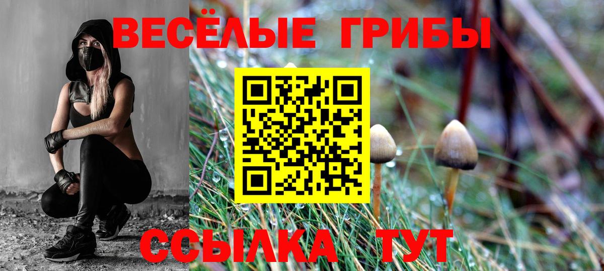 Приморско-Ахтарск  Галлюциногенные грибы Cubensis  Вход с VPN 